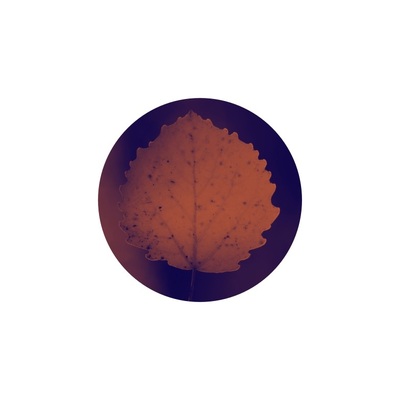 Red Aspen Leaf 